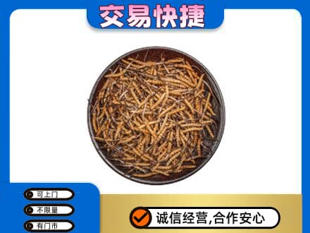 上海青浦区高价回收散虫草